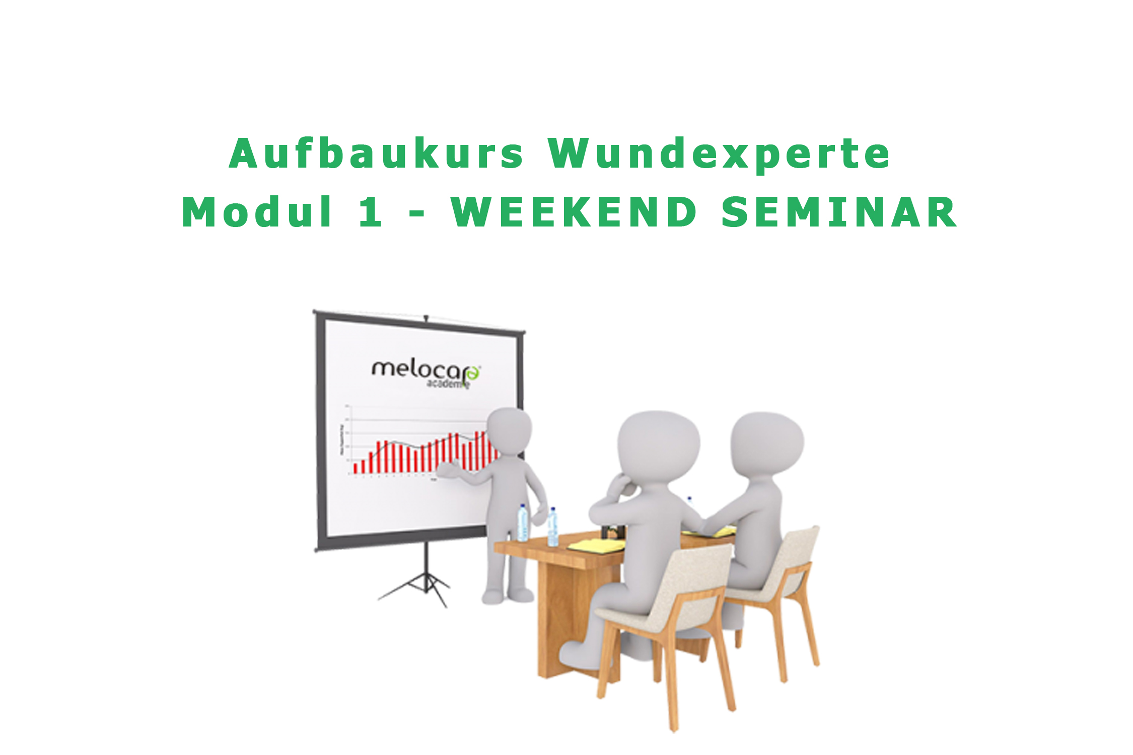 Aufbaukurs Wundexperte modul 1 weekend seminar