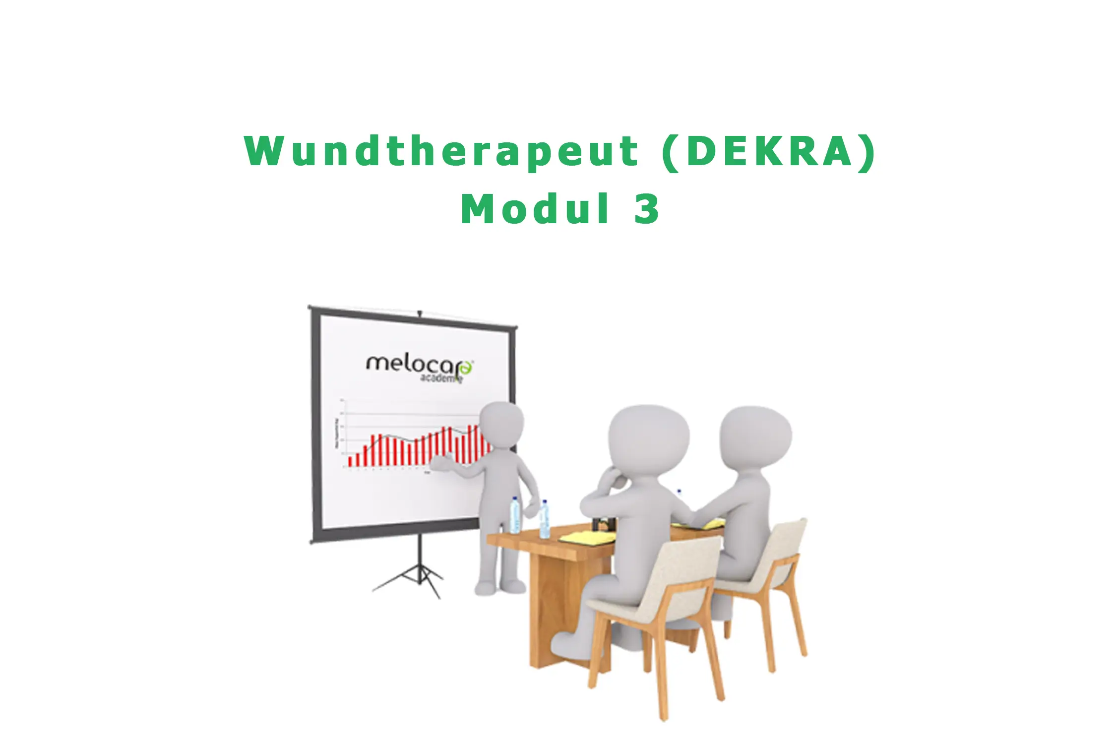 Wundtherapeut kurs (DEKRA) modul 3